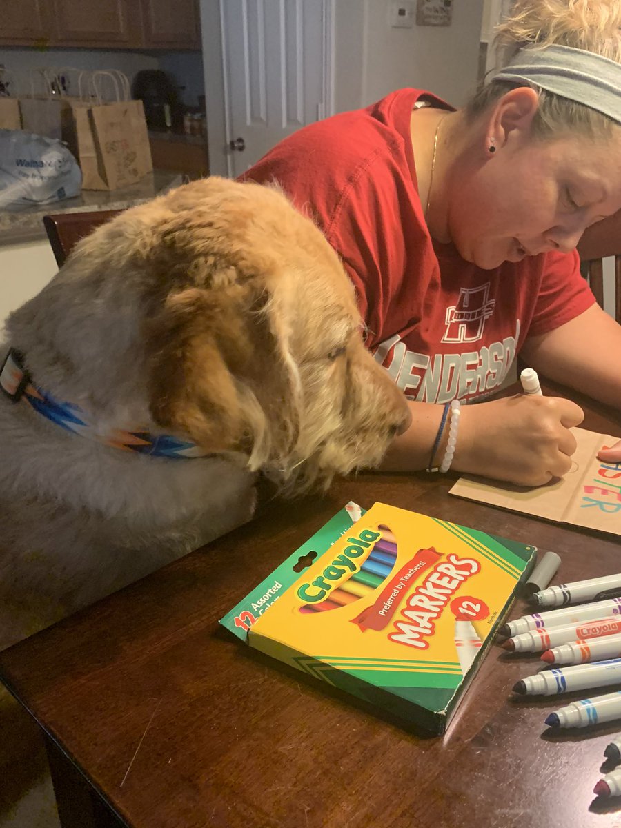 Ptown Sball 17-20 tweet media