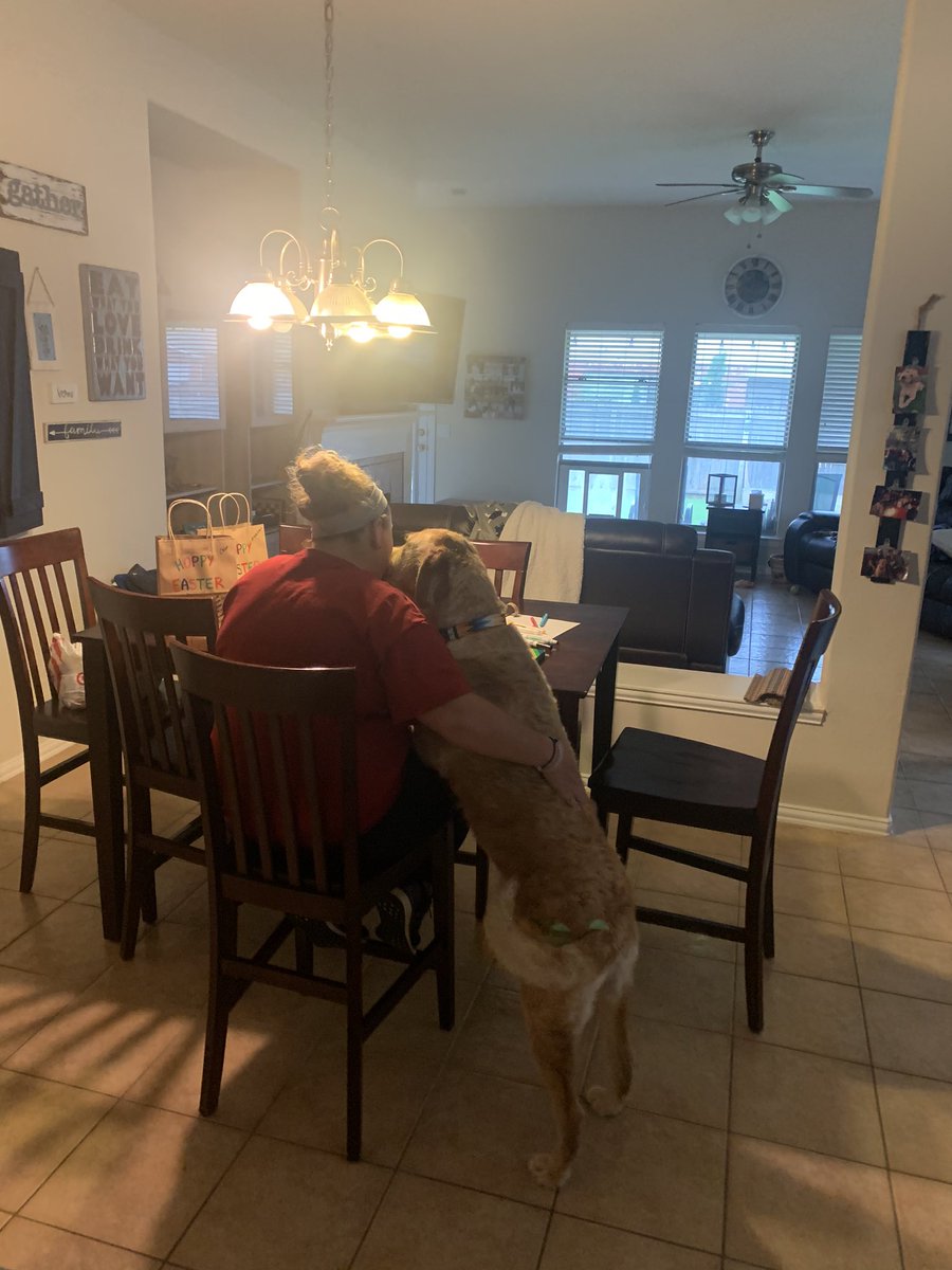 Ptown Sball 17-20 tweet media