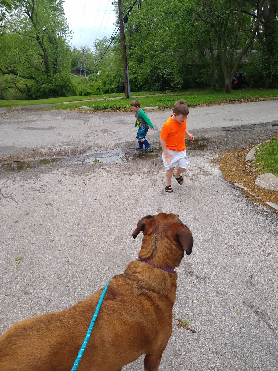 amanda_aidnik's tweet photo. We got in 2 wet walks today!  #maymarathonchallenge https://t.co/lsbXPUXFau