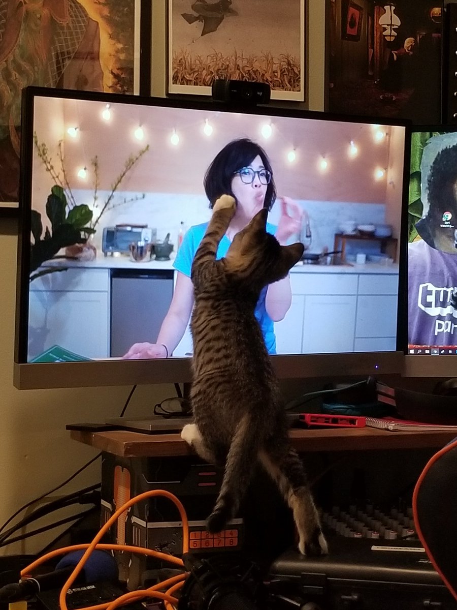 stefsewshizz's tweet photo. Hey @emmymadeinjapan! Our foster kitten, Wax Lips, loves and approves of your stinging nettle patina! She wants to help and thinks yer pretty! https://t.co/1K8KtSRAYD