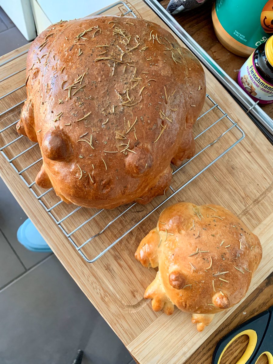 tikatikacosplay's tweet photo. I made frog bread today and SEROTONIN IS  H E R E https://t.co/kfPJ9MoCr5