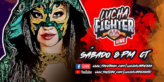 a Fight a Live Fight Episode 3 Ready For The Semifinalists Superfights