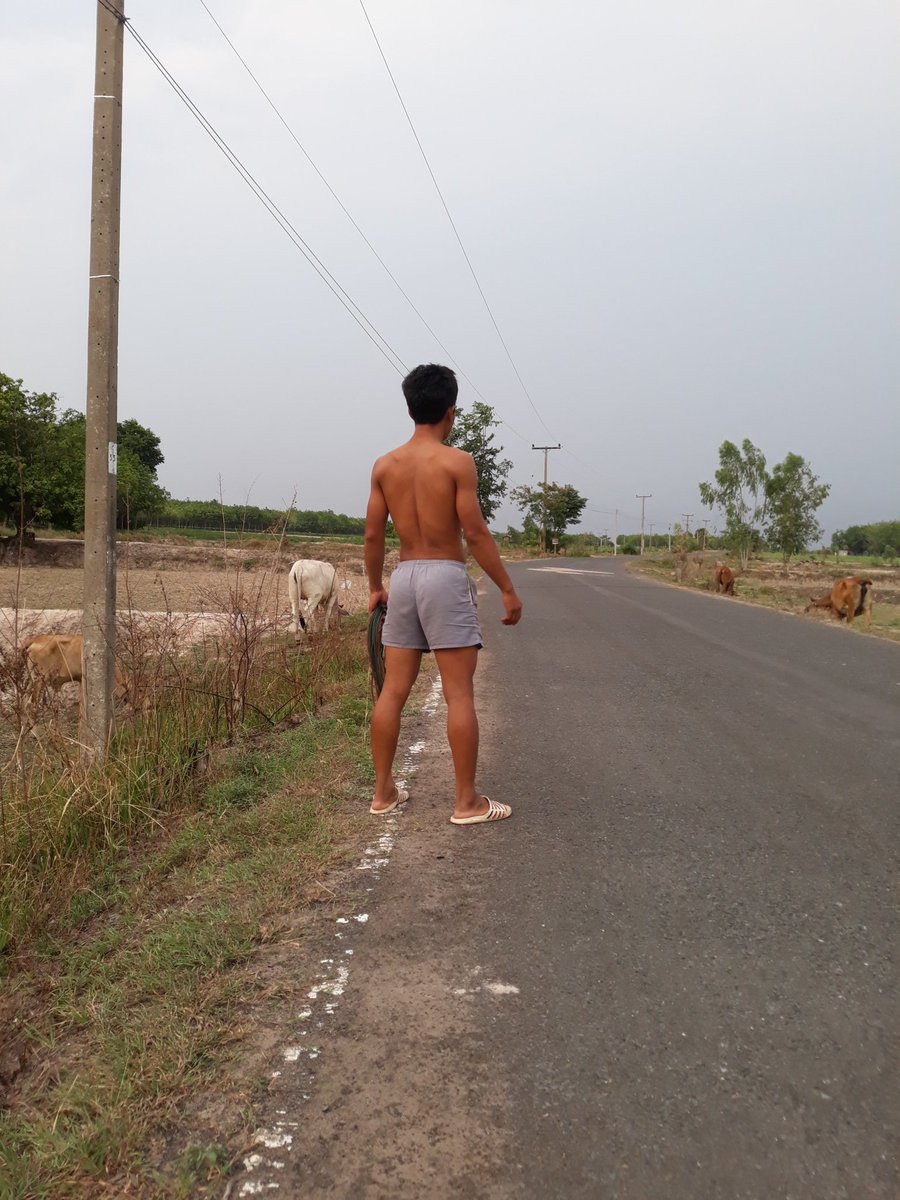 Wich113's tweet photo. เด็กเลี้ยงวัว  เด้กบ้านๆ https://t.co/12eIyE6jHe