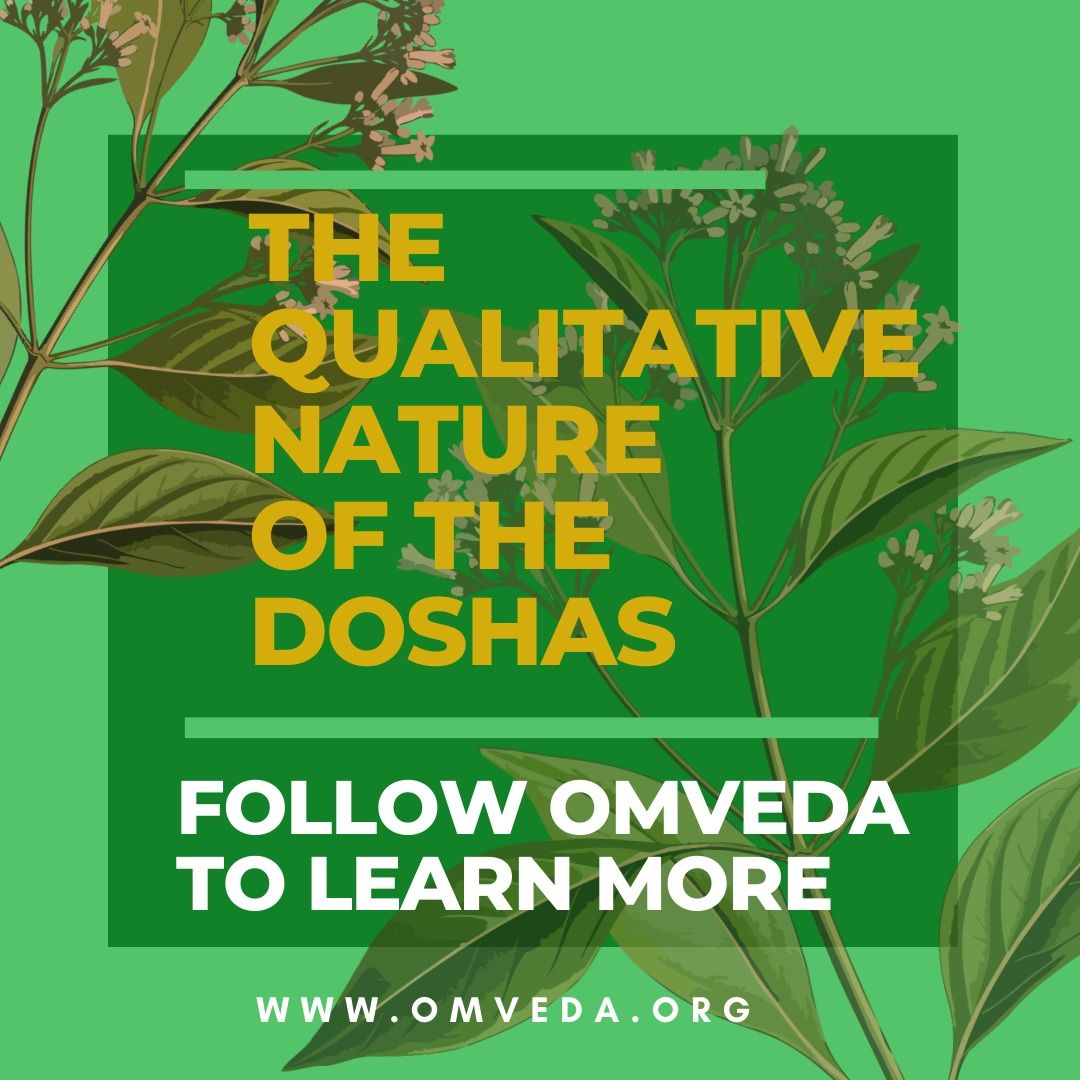 OmVedaOrg's tweet photo. The Qualitative #Nature of the Doshas. Each #dosha is characterized by a collection of their #qualities. If you want To know all the qualities of Doshas then please visit our website: https://t.co/V4tPntmlWh
#omveda #ayurvedic #ayurveda #HealthyAtHome #Covid_19 #Delhi #DDNational https://t.co/KjoloG6qoy