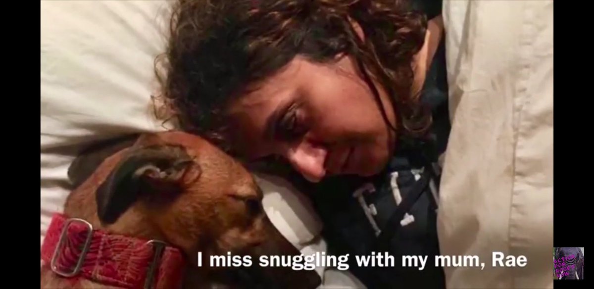 MissingPetsGB's tweet photo. 🐕Today, on the second anniversary of RUBY'S disappearance, please continue to show support for her heartbroken family.
Ruby vanished on a walk in #OldAmersham #HP7
We are all totally committed to help find her&amp; believe that someone has 
information that will help bring her home. https://t.co/7y3MgGYLfJ