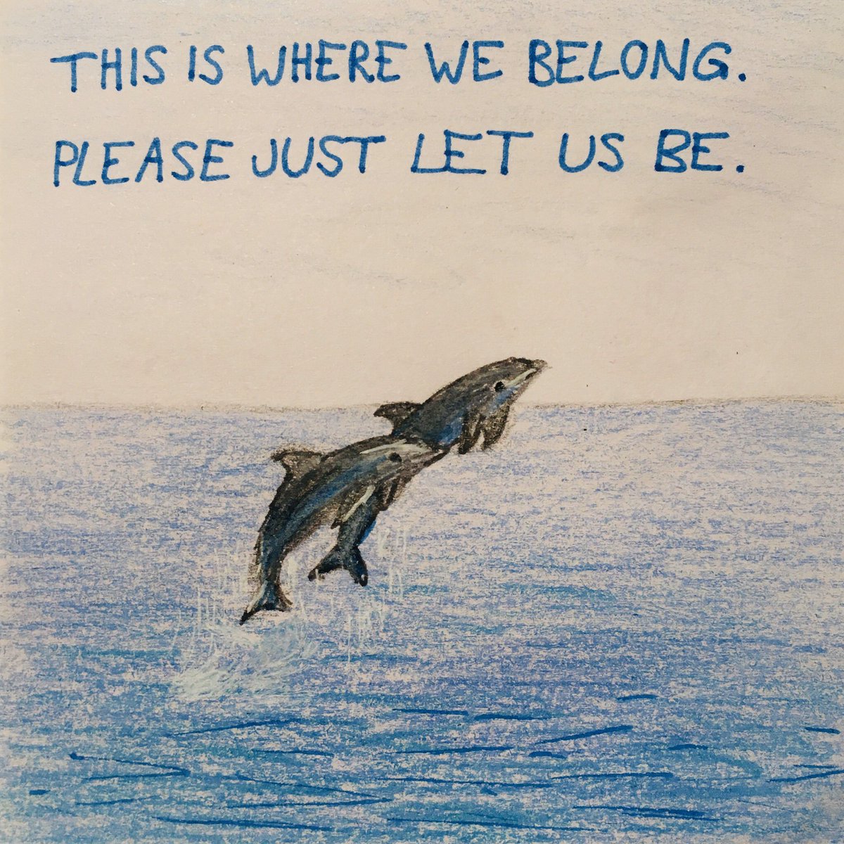 Lana_M_Vegana's tweet image. #govegan #stopusinganimals #dolphins #animalsdonotbelongtous #stoptaiji #seaworld #dolfinarium #freedom #artivism