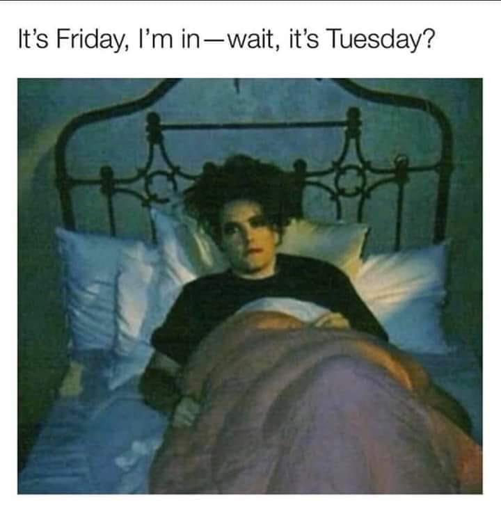 Morning
