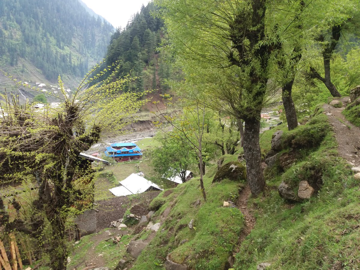 aslam_khawaja_'s tweet photo. #Hometowen
#Sharda_NeelumValley
#Just_clicked https://t.co/6VU7z2w8QR