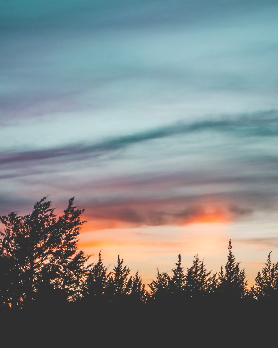 ledsxn's tweet photo. These sunsets hit different 📸😍 #photography #vanalstynetx https://t.co/kr84QUgMhv