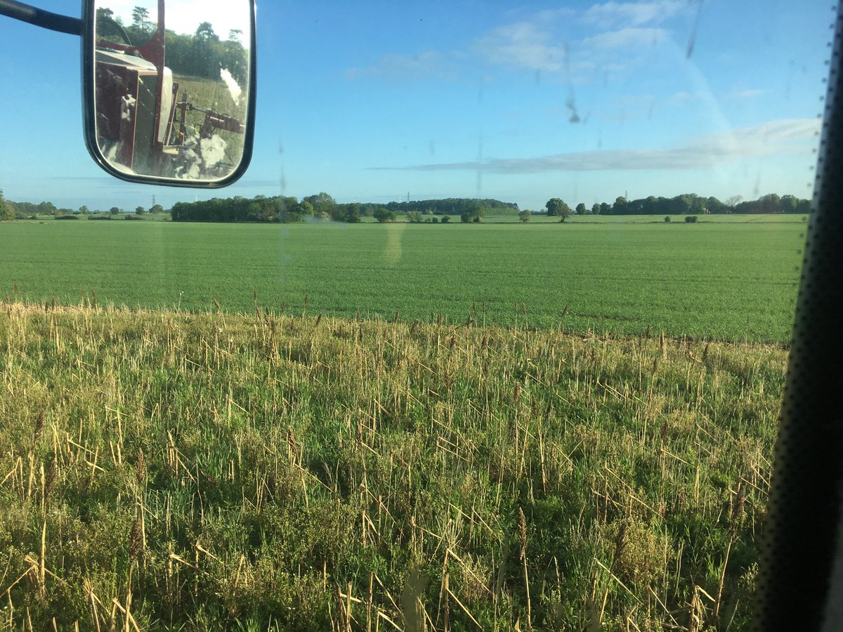 Ian Lutey tweet media