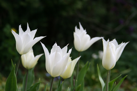 Hans Kromhout tweet media