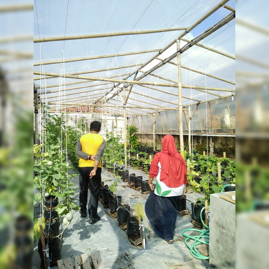 bwangiberkebun's tweet photo. Keseruan behind the scene live ig jalan² ke kebun Watukebo bersama @IDberkebun buat temen² biar tidak bosan #dirumahaja sekaligus membahas tentang menanam buah melon korea hidroponik dengan sistem irigasi tetes. Ayoo ikutan berkebun di rumah aja 😊
@AzwarAnas_A3
@bayuhadiyanto2 https://t.co/p9Levj8O4C