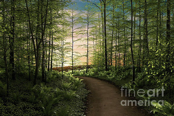c_b_pics's tweet photo. New artwork for sale! - "Woodland Path" - https://t.co/QeFI6j7Fnj @fineartamerica https://t.co/H2YyAElD6R