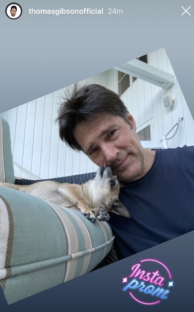 _peaksfreak_'s tweet photo. We got another pic of #ThomasGibson 👏 Awwwww. Hazel makes such a cute date for his stay at home prom but I am thinking the second pic looks more like a traditional prom pic. 😆
Wait...is hazel biting his face? 🤣 #instaprom https://t.co/dwDpegmXzM