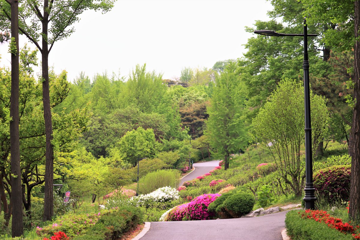 울프 앞 블루스퀘어 정류장에서 402번 타고 세 정거장만 더 가서 하얏트 호텔 맞은편에 내리면 바로 눈 앞에 펼쳐지는 남산공원. 사계절 어느 때나 가도 평탄한 길 슬슬 걷고 잘 가꿔진 경치 구경하며 산책하면 얼마나 좋게요. 울프 가시는 분들은 놓치지 말고 울프-남산 패키지로 즐겨 보세요 🥧🌲