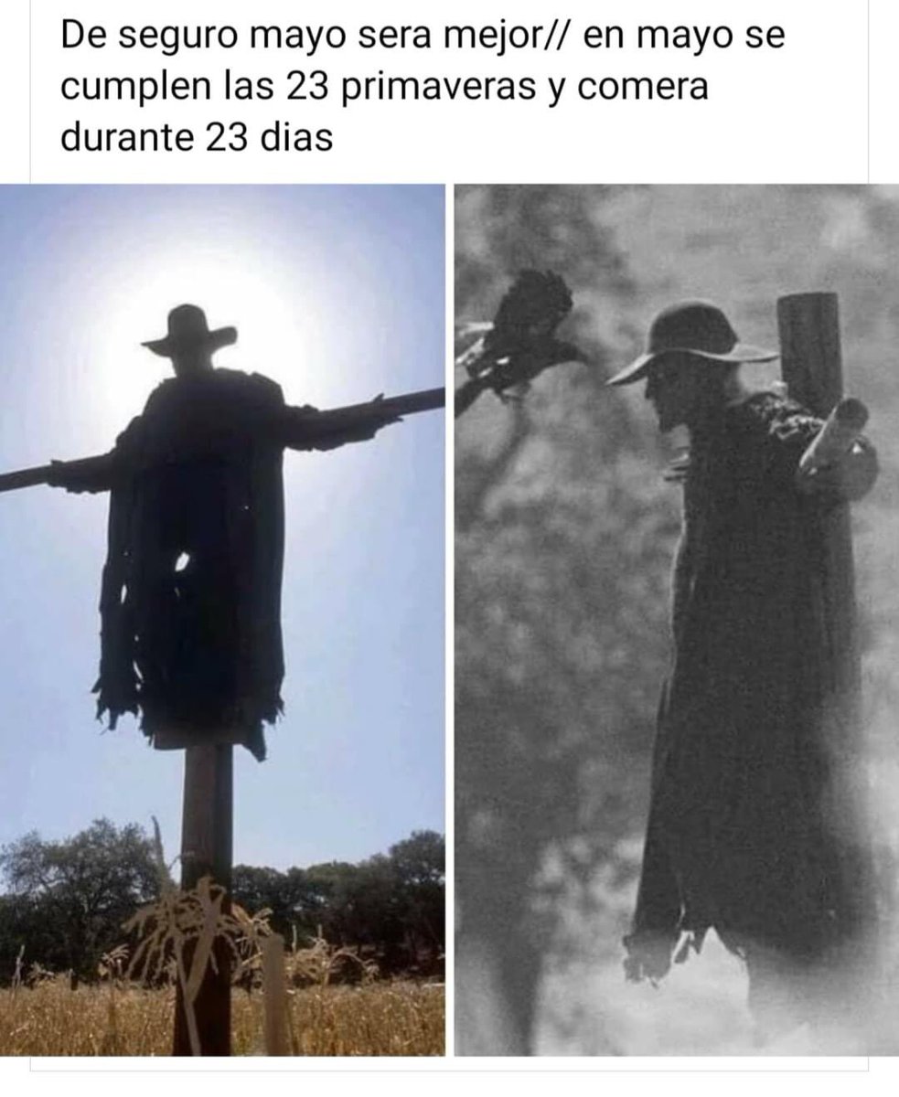 los_pito's tweet photo. #FrasesDTerror

23 de mayo https://t.co/S13Ksmj0Jd