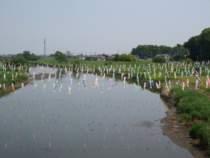 越谷市 不動橋 相模町スポット広場周辺周辺で沢山のこいのぼりが泳いでいます 号外net 越谷市