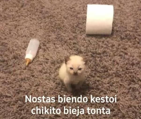 los_pito's tweet photo. #FrasesDTerror

Mételo hasta el fondo https://t.co/FoZznsAEE9