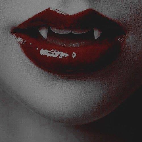 NeophyteCullen's tweet image. 𝐉𝐚𝐦𝐚́𝐬 𝐯𝐞𝐫𝐢́𝐚𝐦𝐨𝐬 𝐥𝐚𝐬 𝐞𝐬𝐭𝐫𝐞𝐥𝐥𝐚𝐬 𝐞𝐧 𝐥𝐚 𝐨𝐬𝐜𝐮𝐫𝐢𝐝𝐚𝐝. 

• Aʙɪᴇʀᴛᴀ ᴀ ᴛʀᴀᴍᴀs.
• Rᴏʟ ᴍᴇᴅɪᴏ/ᴇxᴛᴇɴsᴏ.
• ₀₅ | ₀₆ | ₁₆.

「 #LαÐιαвlα 」

 ↻+♡ ?