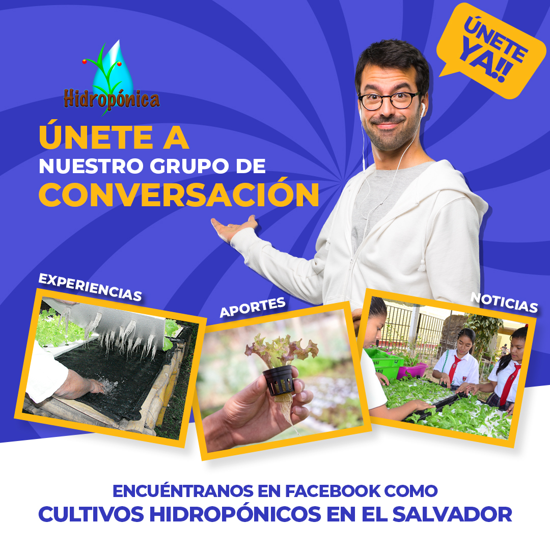 hidroponicasv's tweet photo. Quedan cordialmente invitados a unirse a nuestro grupo de conversación “Cultivos Hidropónicos en El Salvador” ingresando en el siguiente enlace: https://t.co/ajKtVV7SnN

#hidroponica #hidroponia #hydroponic #cultivos #agua #sivar #polimero #sivarcultivos #sivargram #grupo #group https://t.co/tnUM4tQUTT