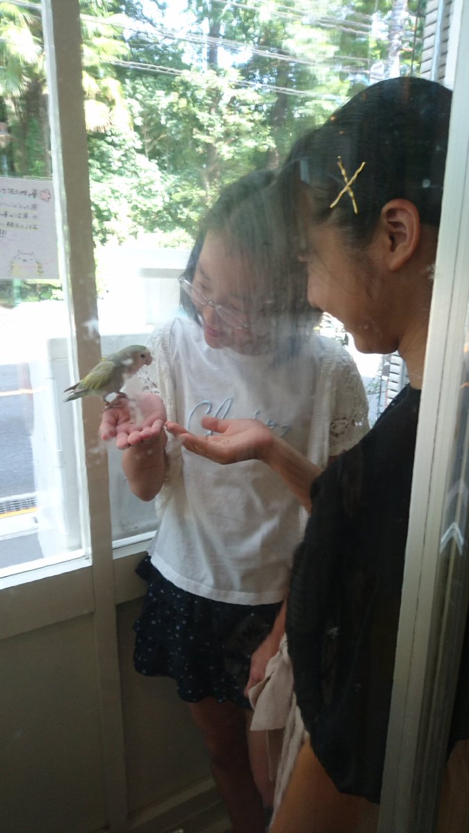 <a href="/kotoricafe_k/">ことりカフェ吉祥寺</a> 数年前、娘と姪っ子を連れて伺った想い出の場所…。
巣鴨が閉店されて、文鳥ちゃんたちが集まった吉祥寺に行きたかったな…。

ありがとうございました。
落ち着いたら上野に行きます。
帰省したときには心斎橋にも！
どうか頑張ってください。
クラウドファンディング、参加します！