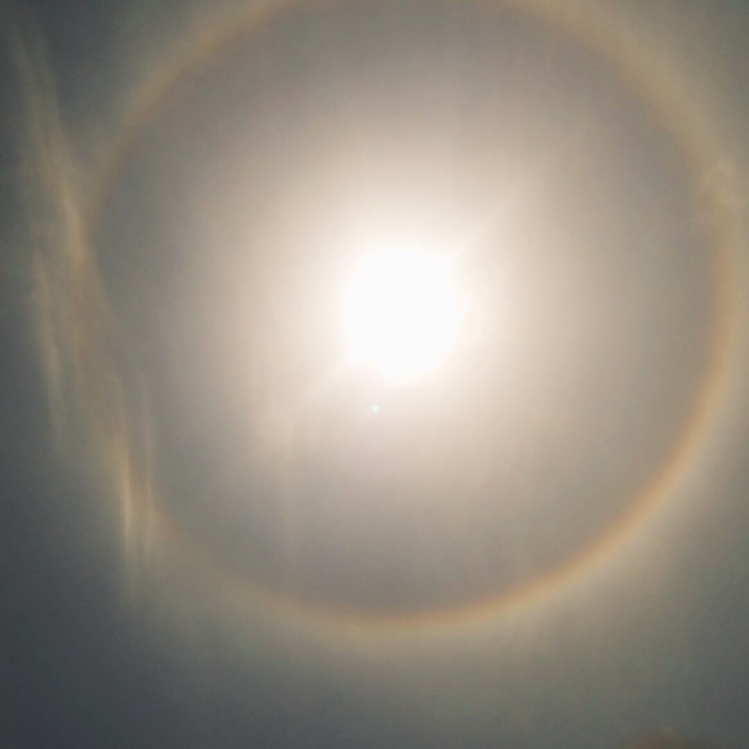 hyodon11's tweet photo. 太陽の周り虹♪

#虹　#空 https://t.co/yIj4aJ75rM