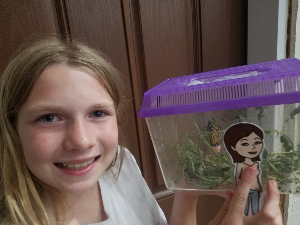 raneel's tweet photo. Reagan's caterpillar made its final transformation into a butterfly today. And, Flat Stangle was here to witness it.  Such an exciting day! @stangle4th #flatstangle https://t.co/QFghgoR4An