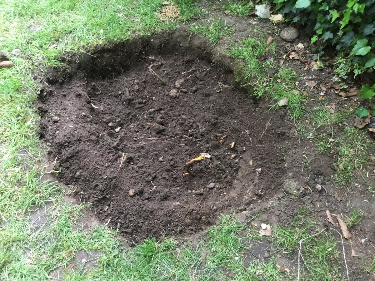 DrowningInChoc's tweet image. Wow, your getting good at this, well done 👏🏻👏🏻👏🏻👏🏻👏🏻👏🏻 How about putting a wildlife pond in the garden, that’s my “little project” for this week’s lockdown “fun” #juststarted #hardground