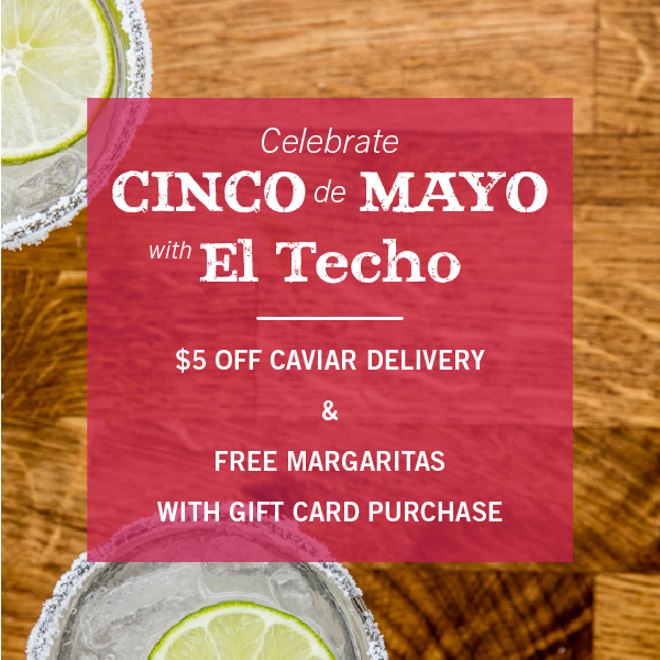 El Techo tweet media