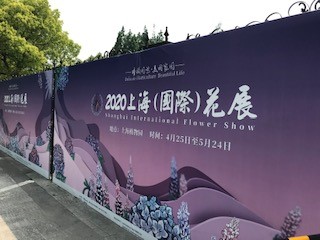 LNVShanghai's tweet photo. Visited Netherlands on the occasion of ShanghaiInternationallFlowerShow (from 25 April to 24 May) in ShanghaiBotanicalGarden yesterday. Netherlands Garden is supported by #NBTC. The theme is Plant-based-future.@AgroBericht @AgriBeijing @VerheyWouter @StigterHenk @NBTC https://t.co/PXSV5coi4s