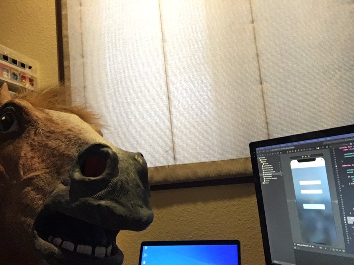 o_waq's tweet photo. くぅぅぅ、今日のUdemyのSwiftは盛りだくさんです！
結局、午前中でこなせなかった。。。
つい、#エール からの #チコちゃんに叱られる をみてしまったってこともありますが。。。

午後に続きをやります。
せっかく撮ったんでまた #馬 の写真載せます。

#プログラミング初心者 https://t.co/z1x9vmeCwa