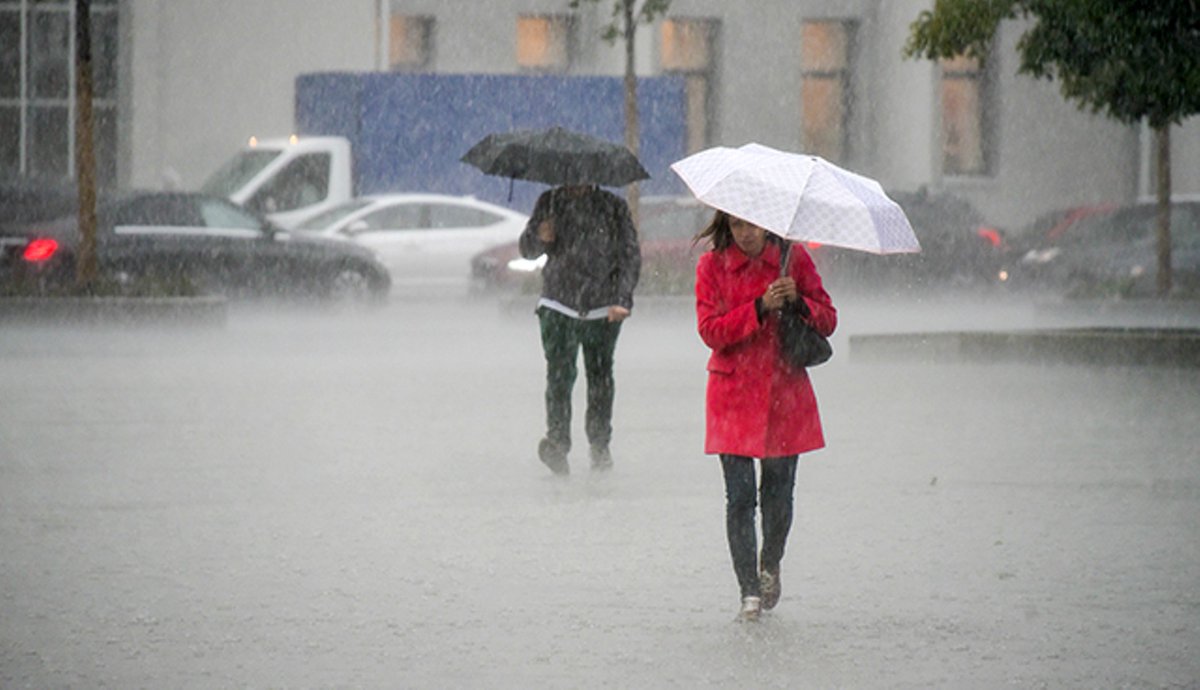 сильный дождь. дождь ливень. сильный дождь. вдруг начался сильный дождь. вдруг начался сильный дождь.