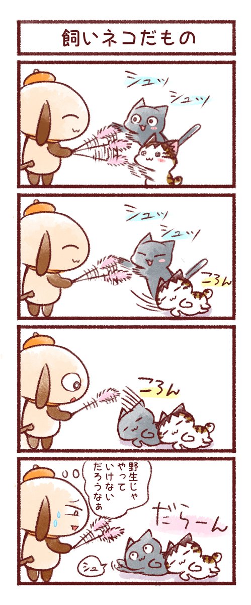 我が家のお猫さま⑥ 