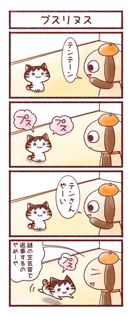 我が家のお猫さま⑥ 
