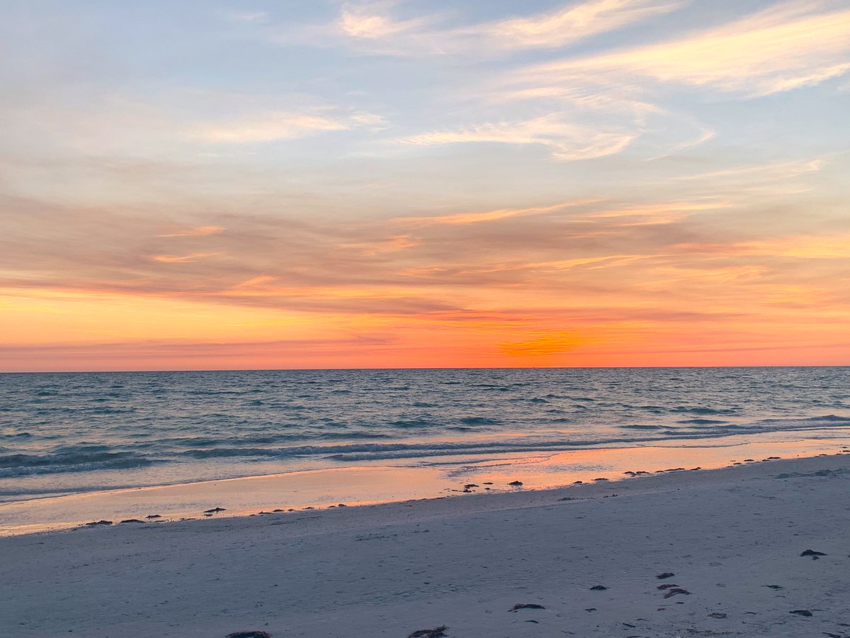 CamryBrooke's tweet photo. Screw fancy dinner dates at an expensive restaurant. Take me to Siesta Key Beach and let’s eat pizza while we watch the sunset⛅️ https://t.co/ulpBvTbcBw
