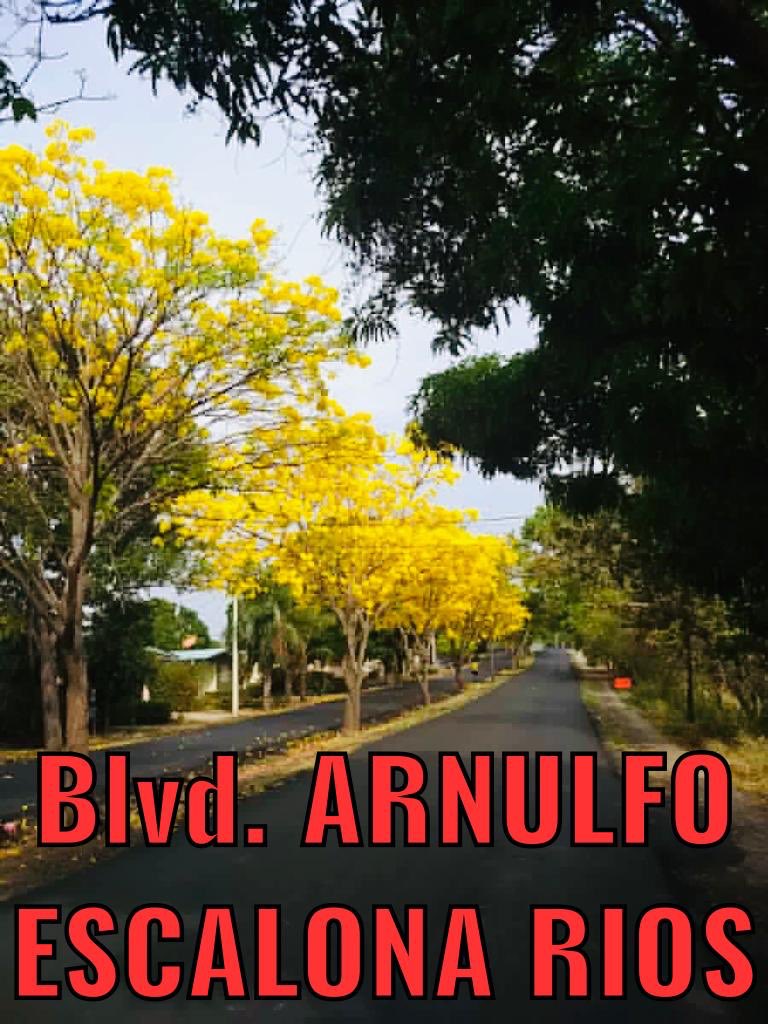 JUAN CARLOS ESCALONA (@escalonabuby) on Twitter photo 