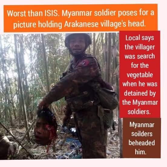 Myanmar soldier happily poses for a picture holding Arakanese ( Rakhine) villager head.

".. It was really shocked!A group of Burmese soldiers beheaded an Arakanese villager who was looking for vegetables in the forest 
Burmese  soldiers behavior like ISIS terrorists! <a href="/hrw/">Human Rights Watch</a> <a href="/UN/">United Nations</a>