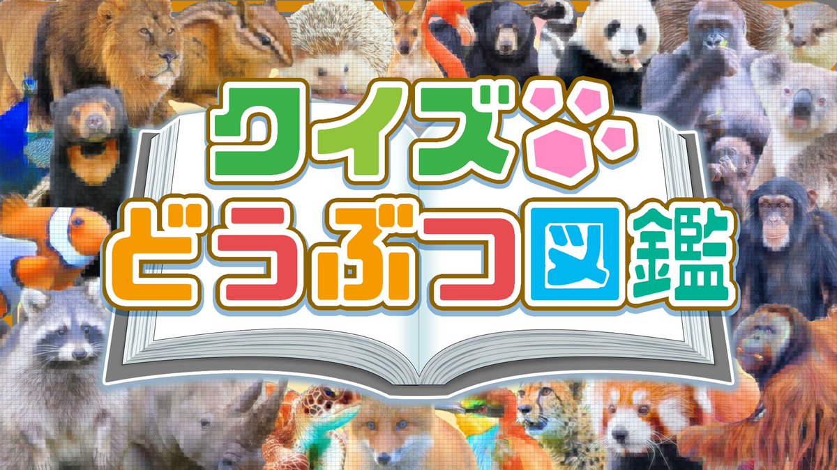 クイズどうぶつ図鑑 Quizanimalbook Twitter