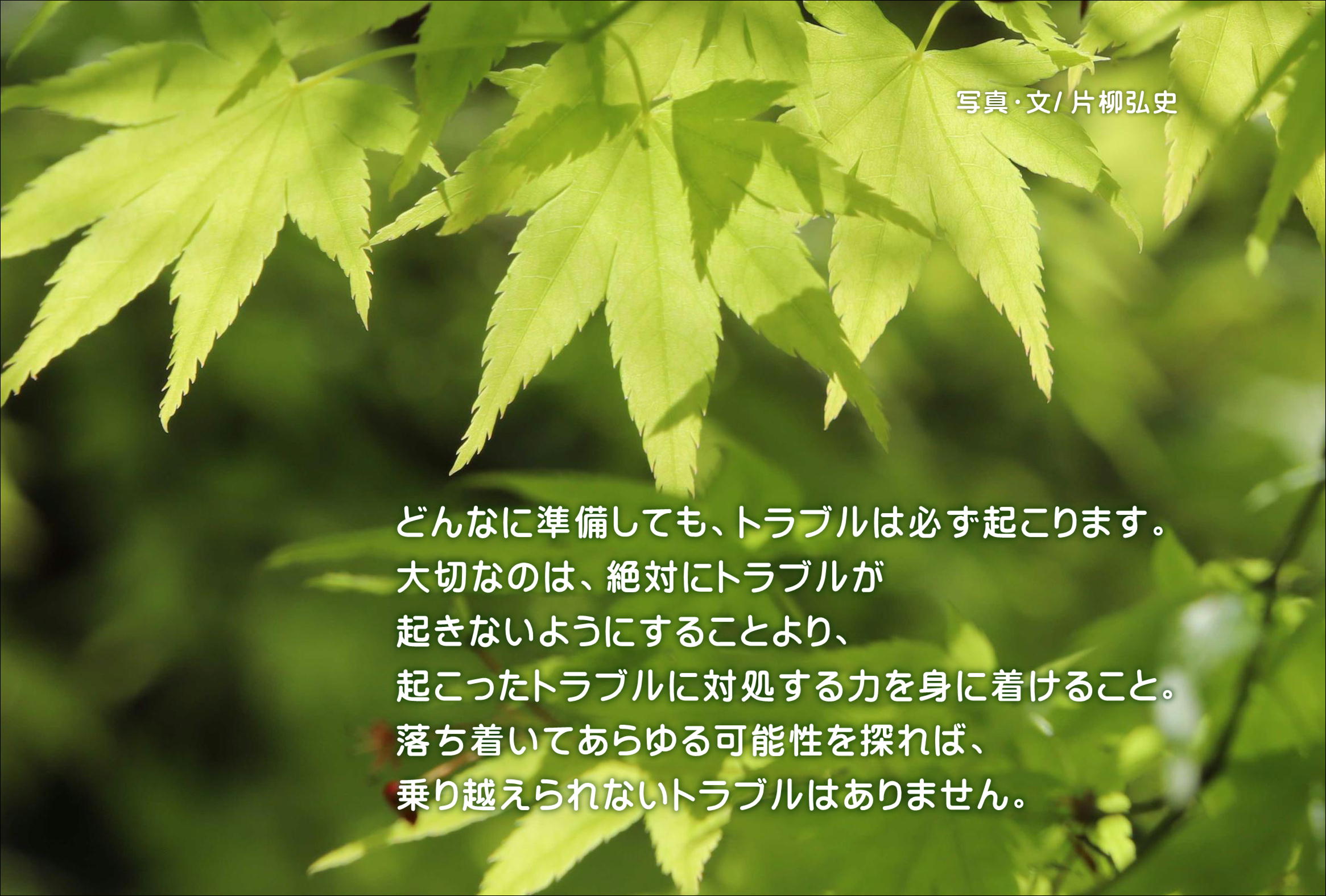 片柳弘史 どんなに準備しても トラブルは必ず起こります 大切なのは 絶対にトラブルが起きないようにする ことより 起こったトラブルに対処する力を身に着けること 落ち着いてあらゆる可能性を探れば 乗り越えられないトラブルはありません この