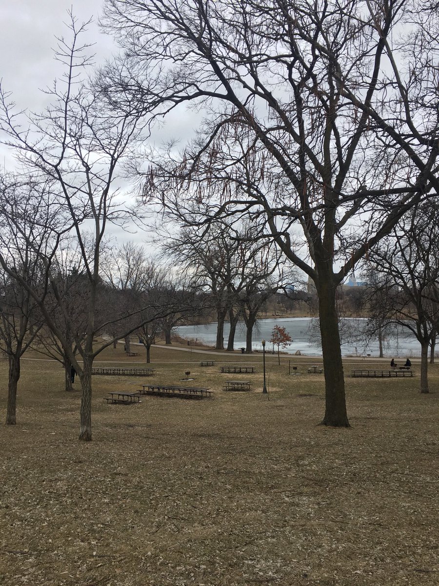 I wish trees could talk so I could hear their stories, and understand the world better.