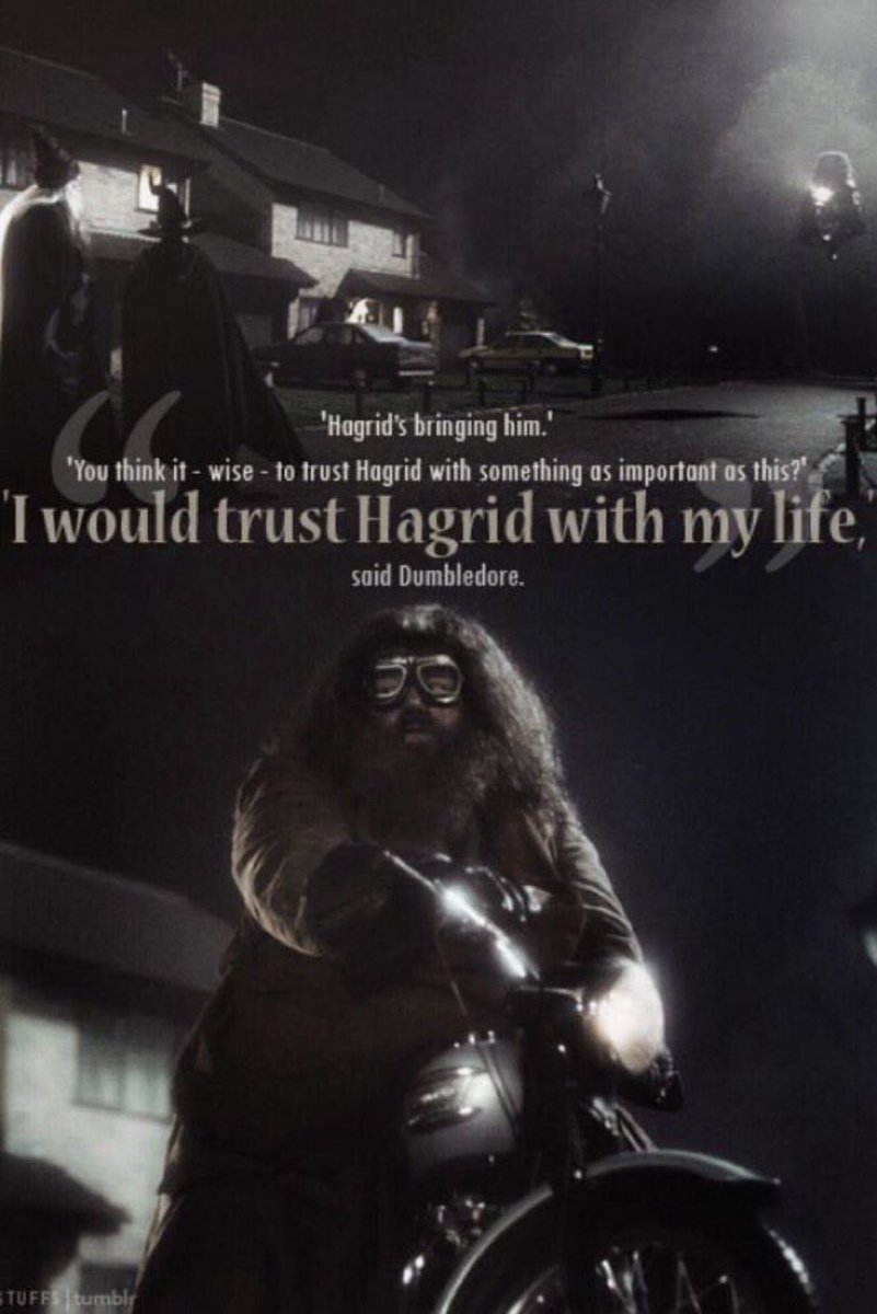HPotterUniverse's tweet image. "I would trust Hagrid with my life."