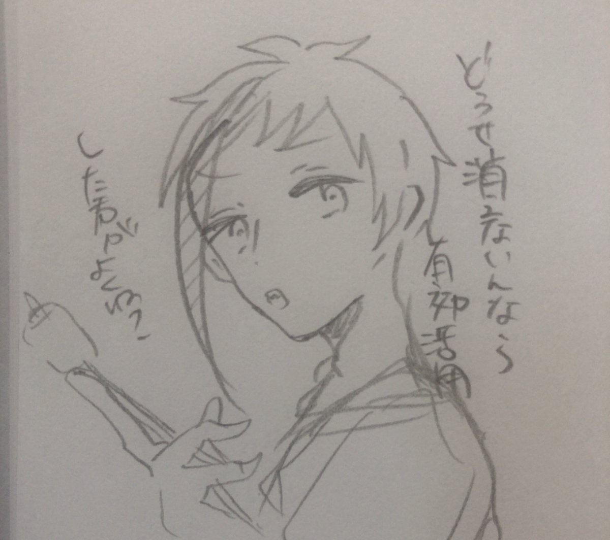 ファンアートです 