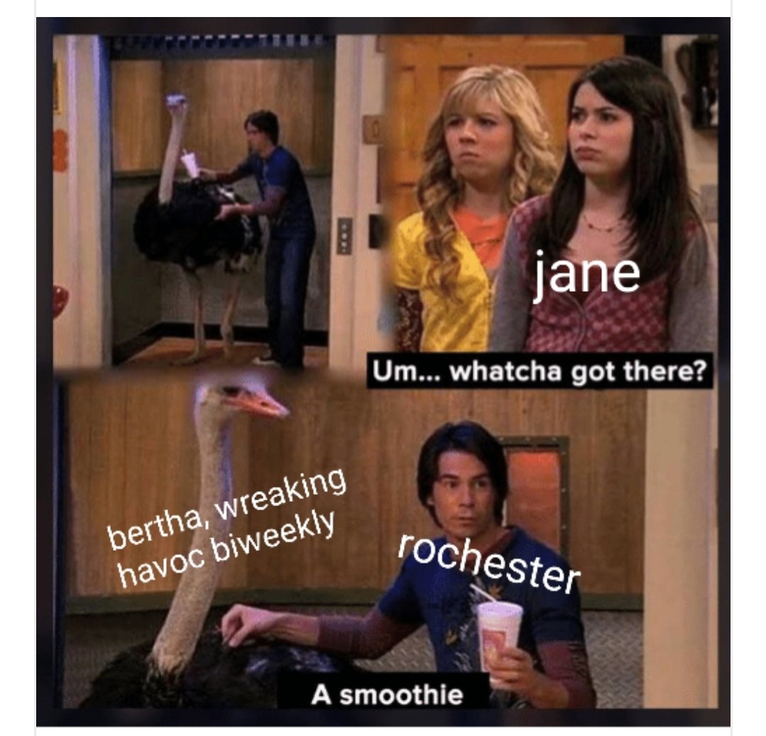 Elizabeth Hancock tweet media