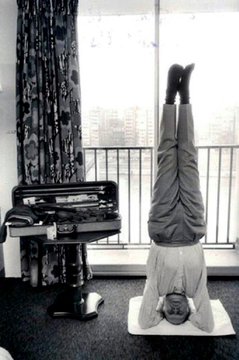 🧡Susan Israel 🪃🐨🇮🇱 🎗️🕯️🇺🇦 tweet media