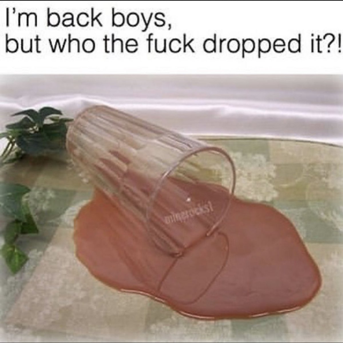 I was only off this account for a couple days nd y’all let this happen? 🙄