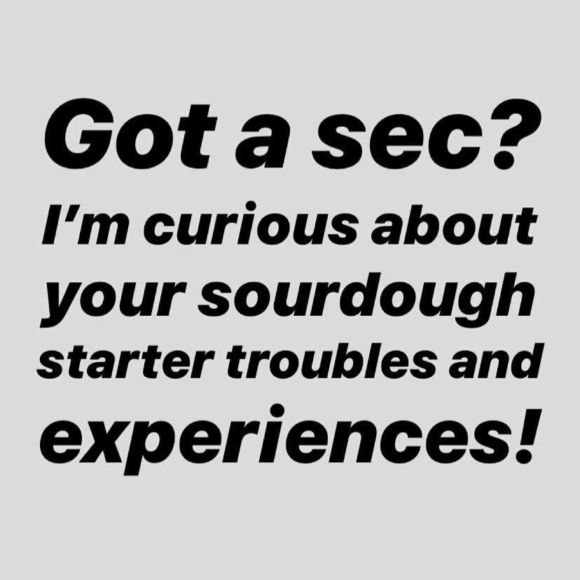 TheNommist's tweet photo. Hey bread friends! I’m working on a project for sourdough starters, so I may post a few of these to my stories about different things. I wanted to ask the sourdough community for your observations. 
I’m asking for any info about experiences you’ve had tr… https://t.co/cNa1L2Cs0P https://t.co/8Cyf3qT5HQ