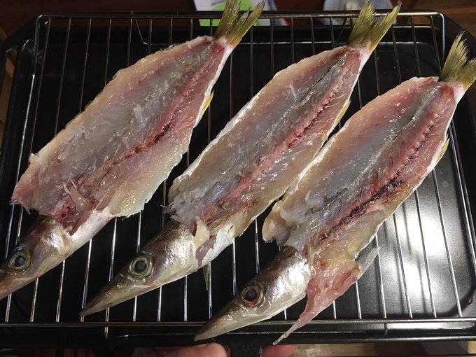 カマスの塩焼きレシピ 捌き方や下処理法は フライパンで簡単調理 お食事ウェブマガジン グルメノート