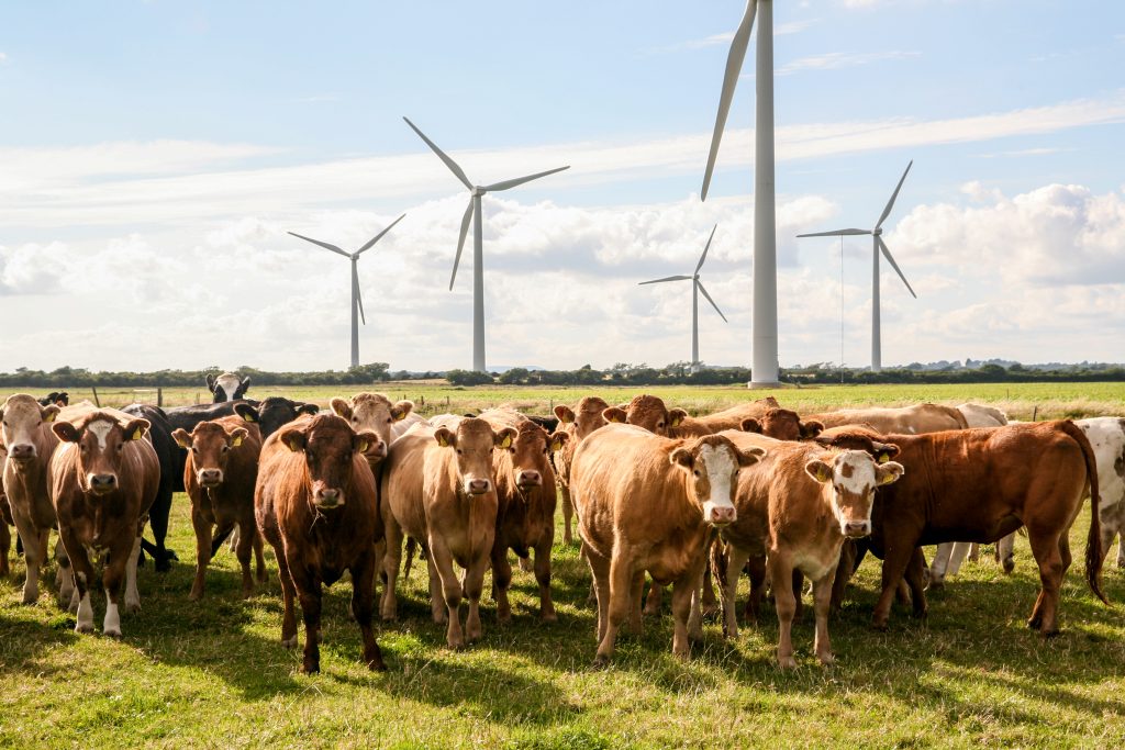 MLAEurope's tweet photo. Did you know the #Aussie red meat industry is the first in the world to make a commitment to becoming #carbonneutral by 2030? 🌎 It's an ambitious goal, and we're ready to meet it. https://t.co/cbtRGhLTb5 https://t.co/katvOoDhiA