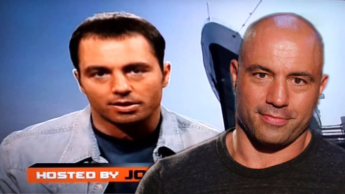 Jackie On Twitter I Was Today Years Old When I Found Out Joe Rogan Was The Host Of Fear Factor