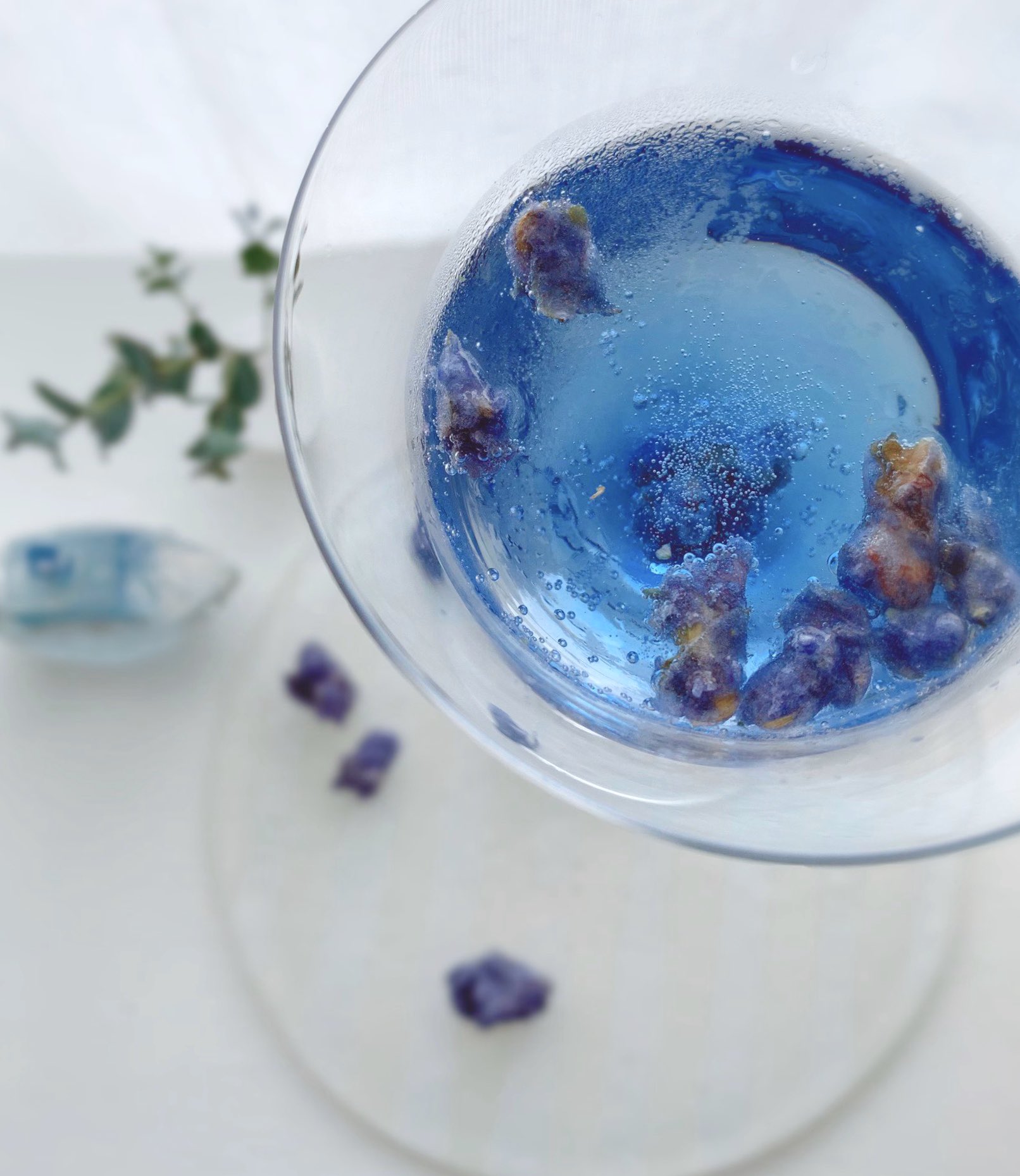 しらとあきこ きょうのおやつ 楽しみにとっておいた菫の花の砂糖漬けをとうとう開封しました まるで森の奥で採れた鉱物のような 砂糖漬け サイダーをそそぐとしだいにスミレの青がどんどんあふれて 湖のように Madamedelluc T Co Rhlmhuwmq9